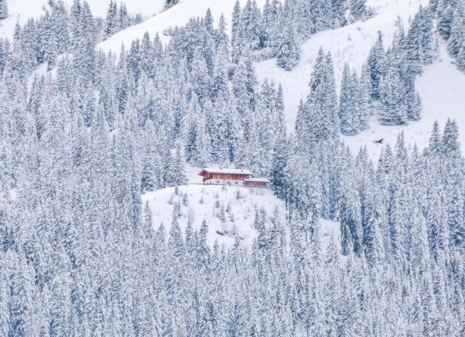 Alpenchalets Biberwier Zugspitze By Alps Resorts Dış mekan fotoğraf